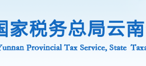 墨江县税务局办税服务厅办公时间地址及联系电话