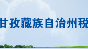雅江县税务局办税服务厅办公时间地址及联系电话