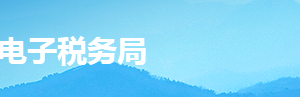 湖南省电子税务局网上纳税（自然人）操作流程说明