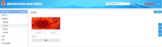 四川省电子税务局电子资料