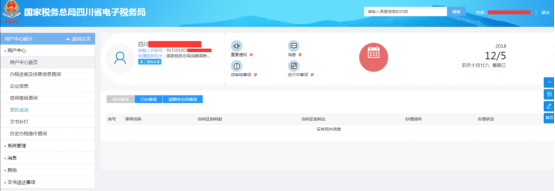 四川省电子税务局用户管理