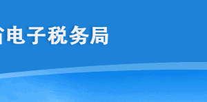 海南省电子税务局报告备案登记操作流程说明