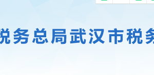 武汉化学工业园区税务局办税服务厅办公地址时间及咨询电话
