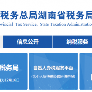 湖南省税务局税收统计调查数据采集操作指南