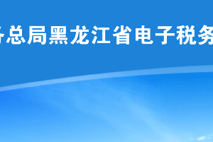 黑龙江省电子税务局应用系统技术服务咨询电话