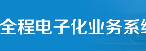 湖南省电子营业执照下载入口及操作流程说明
