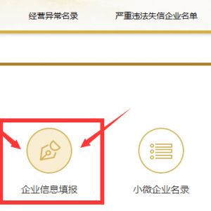 河北企业信用信息公示系统其他自行公示信息填报操作说明