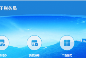 青海省电子税务局成品油消费税纳税申报表填报流程说明