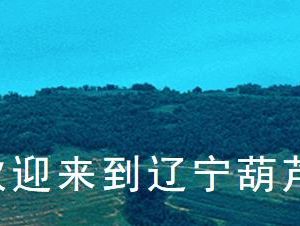 葫芦岛市公共资源交易分中心各部门联系电话