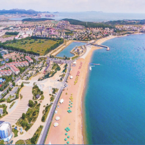 大连市金普新区发展和改革局各部门负责人及联系电话