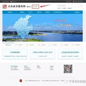 平邑县网上政务服务大厅入口及办事流程说明