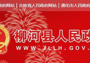 柳河县文化广播电视和旅游局各部门政务服务咨询电话