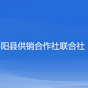 平阳县供销合作社联合社各部门负责人和联系电话