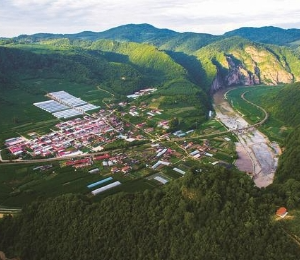 抚松县人民政府各职能部门政务服务咨询电话