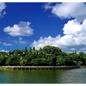 安顺市西秀区各职能部门地址工作时间和联系电话