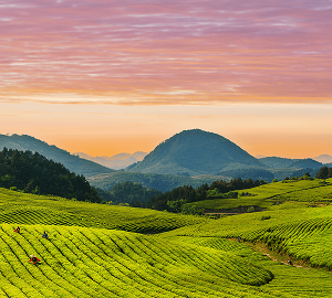 石阡县政府各职能部门地址工作时间和联系电话