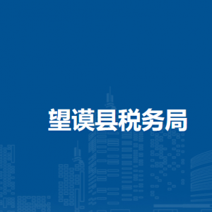 望谟县税务局办税服务厅办公时间地址及咨询电话