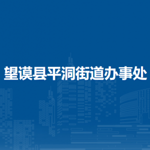 望谟县平洞街道办事处党务政务服务中心