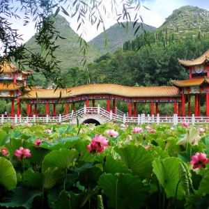 安龙县各乡镇政府街道办事处工作时间和联系电话