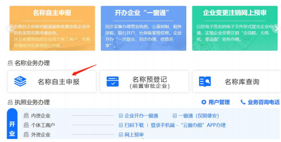 登录名称自主申报系统