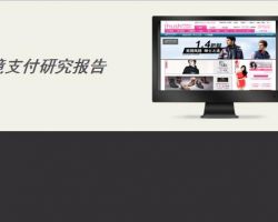 2017年中国在线职业教育研究报告（闻婉珠）(范文下载)