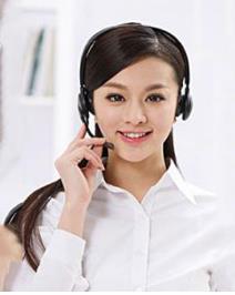 高小姐(工商顾问)