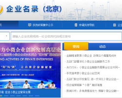北京小微企业名录网上办事入口
