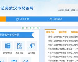 武汉东湖新技术开发区税务