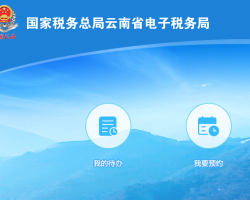 云南省电子税务局登录入口