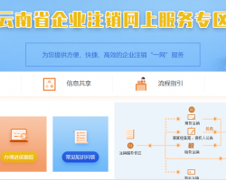 云南省企业注销网上服务默认相册