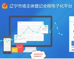 辽宁市场主体登记全程电子化平台入口