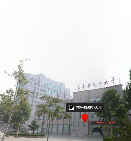 东平县政务服务中心