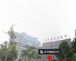 东平县政务服务中心