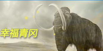 青冈县市场监督管理局