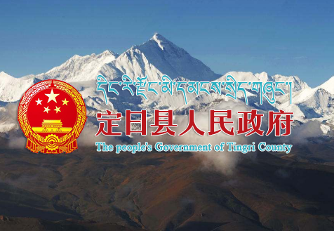 定日县政务服务中心