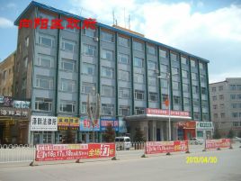 鹤岗市向阳区人民政府