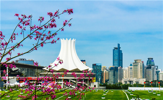 南宁市政务服务局