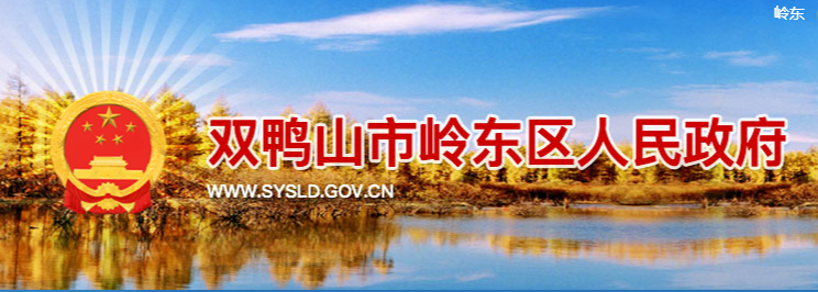 双鸭山市岭东区人民政府