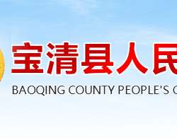 宝清县人民政府政务服务网