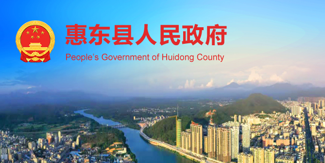 惠东县人民政府政务服务网