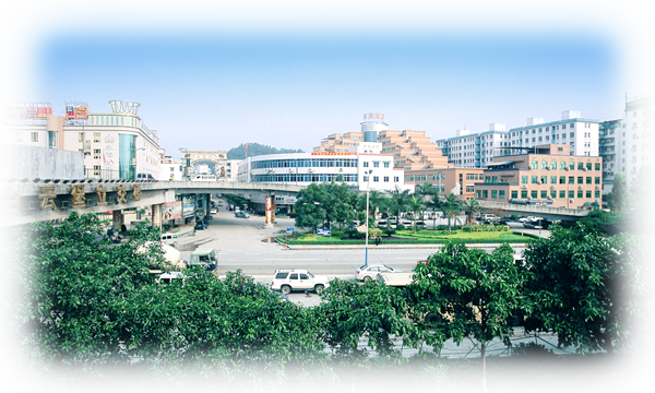 广州市白云区永平街道办事处