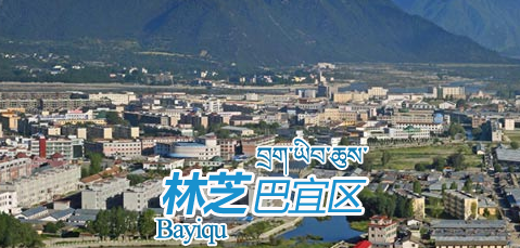 林芝市巴宜区百巴镇人民政府