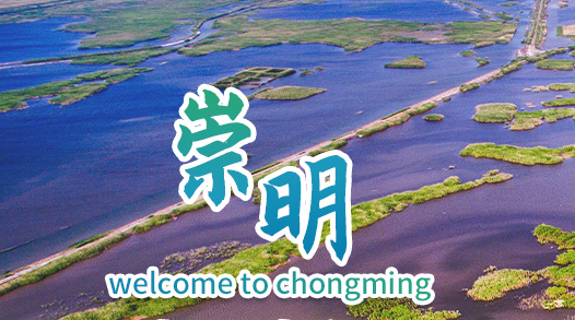 上海市崇明区政务服务办公室