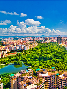 广州市花都区科技工业商务和信息化局