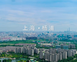 上海市杨浦区规划和自然资源局