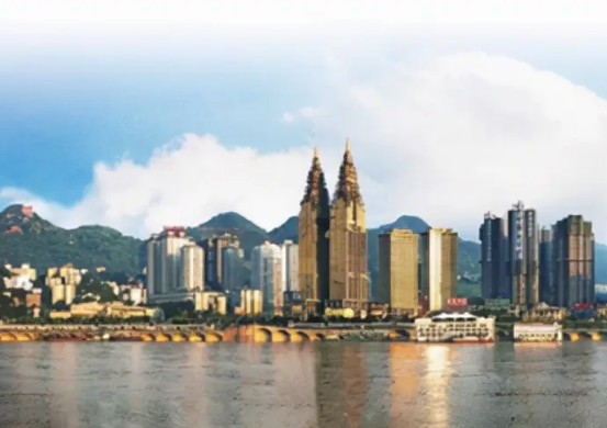 重庆市南岸区政务服务办公室