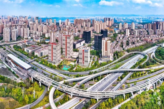 重庆市大渡口区卫生健康委员会