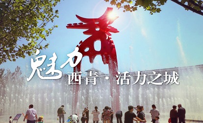 天津市西青区发展和改革委员会