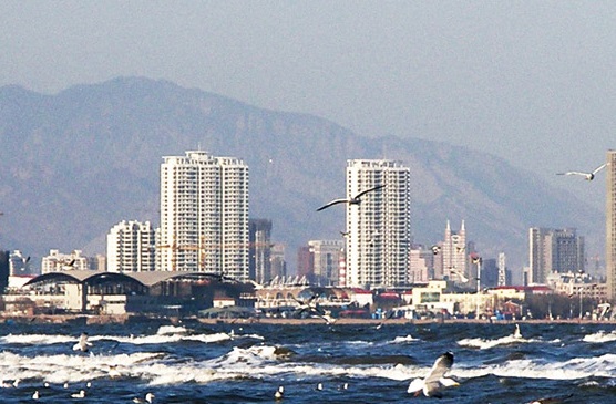 秦皇岛市海港区政府