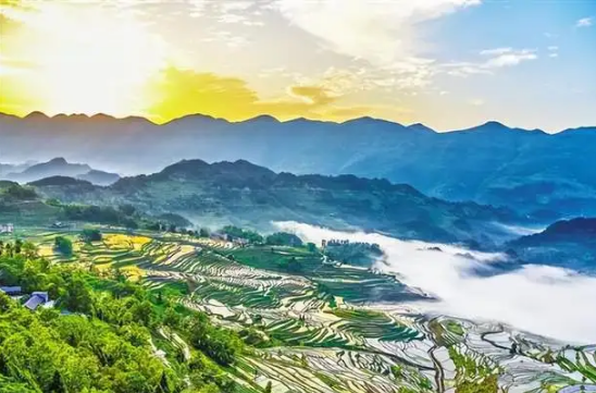 酉阳县人民政府